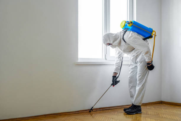 Best Residential Pest Control  in Iselin, NJ